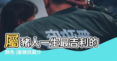 屬豬適合什麼顏色|【屬豬適合的顏色】屬豬必看！2024開運指南，適合的顏色大公。